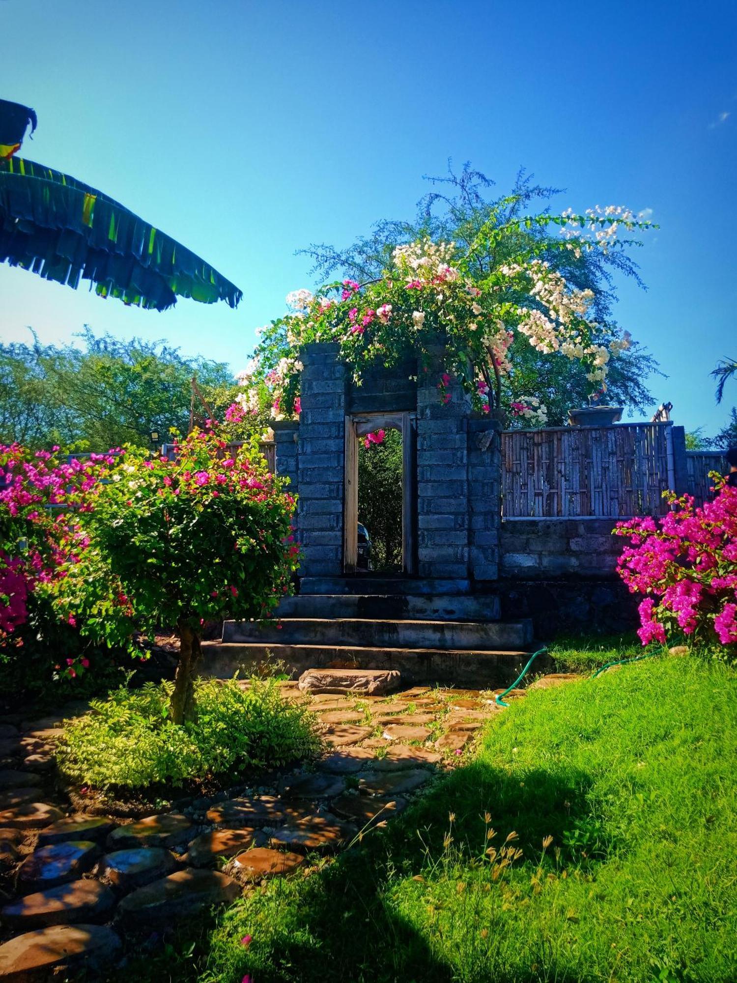 Umah Kayu 2-Menjangan Homestay Banyuwedang Exterior foto